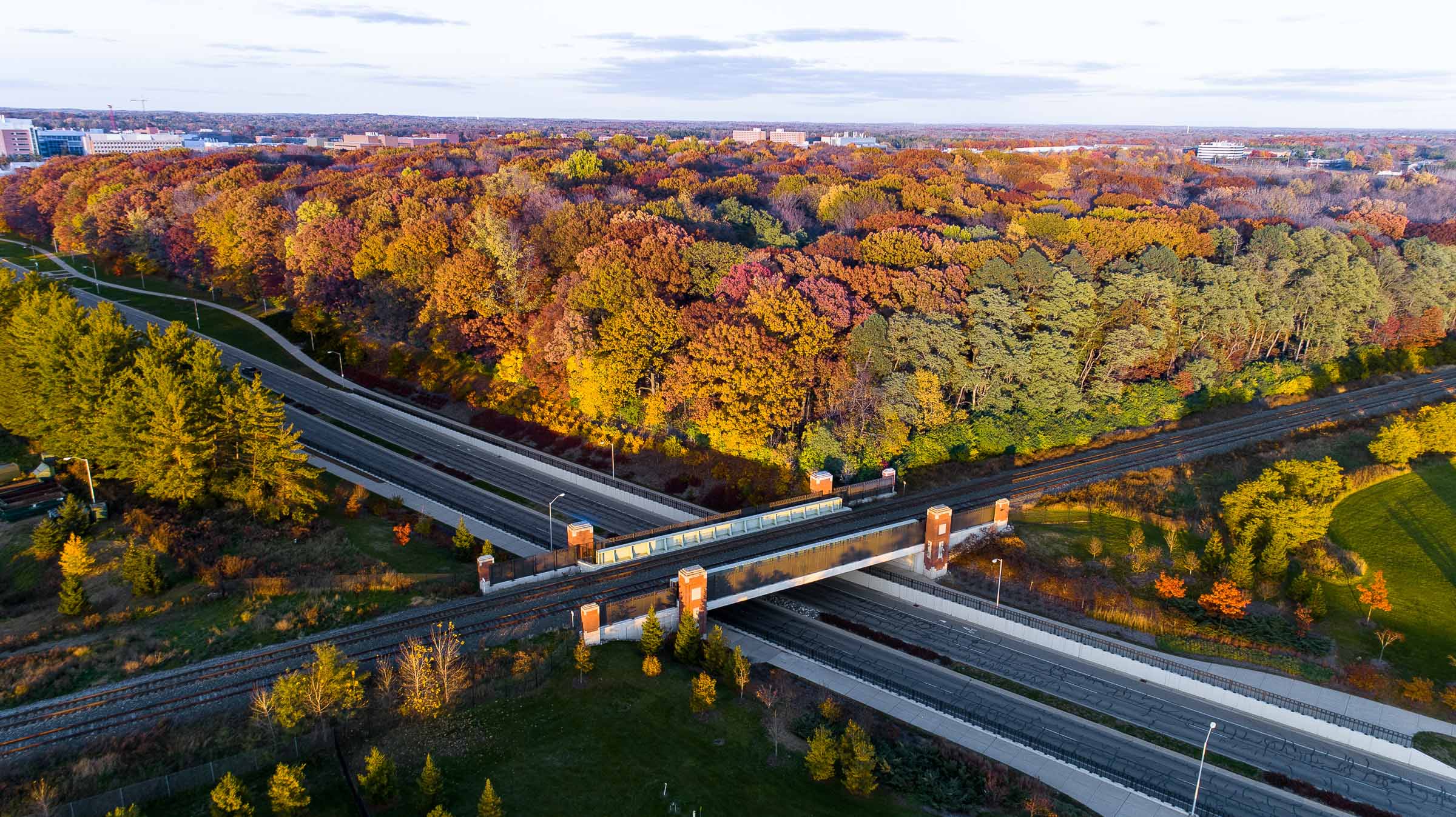 Michigan Professional Photography - Aerial, Wedding, and Portrait Services